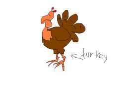 Turkey-1-1