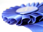 Blue-Ribbon