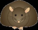 Mouse-Fat Sm